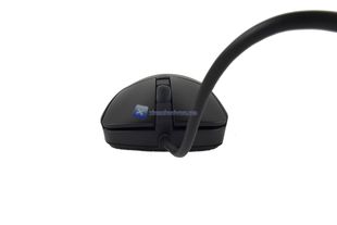 Cougar Surpassion 14