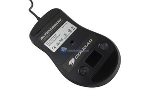 Cougar Surpassion 15